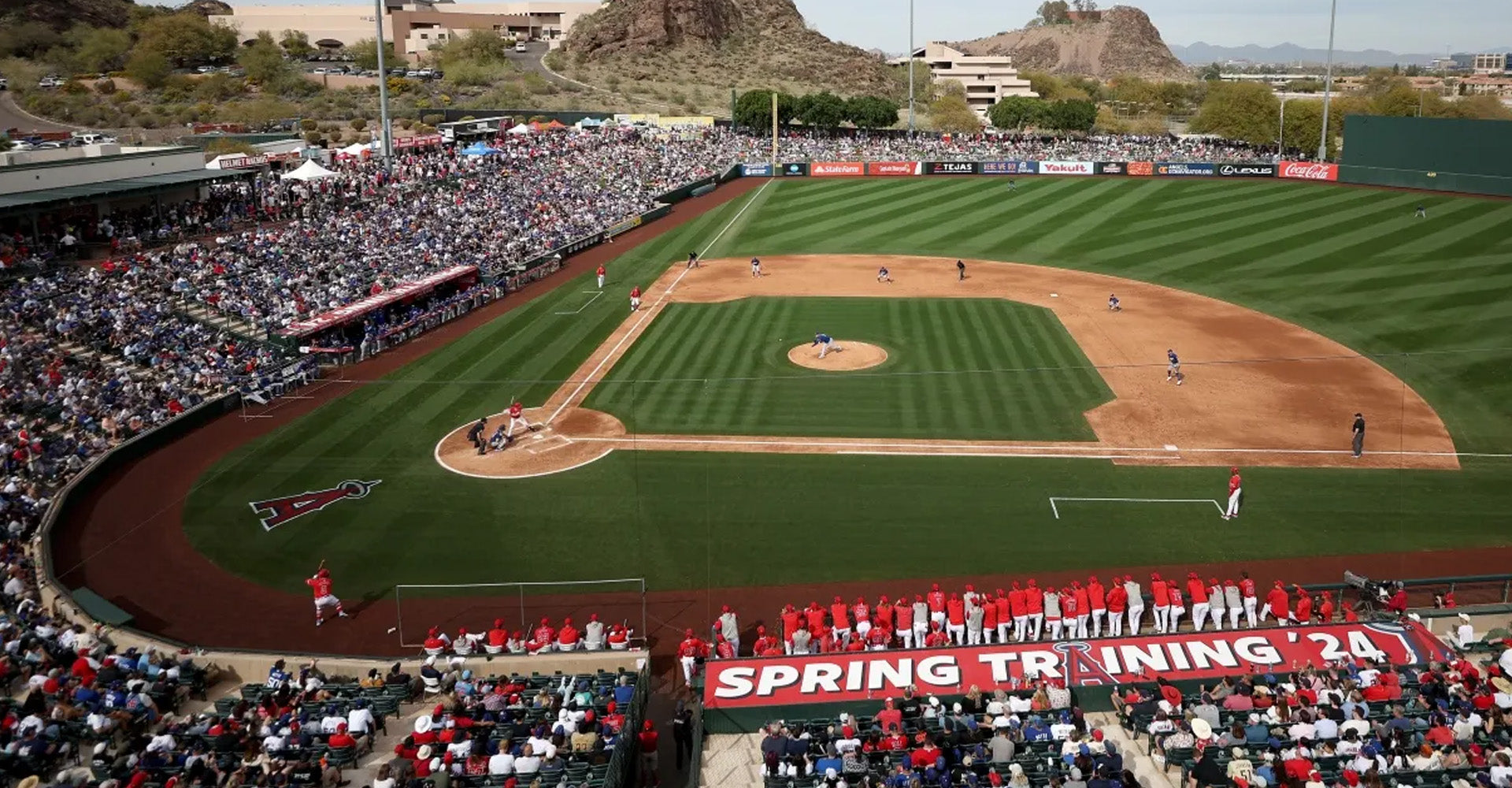 Heading into Baseball Spring Training