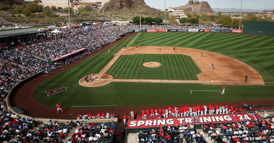 Heading into Baseball Spring Training
